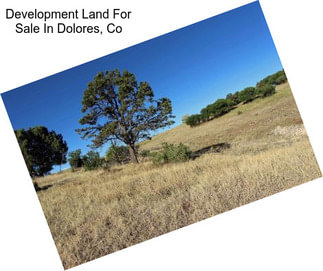 Development Land For Sale In Dolores, Co