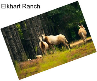 Elkhart Ranch