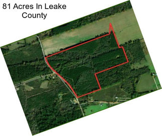 81 Acres In Leake County