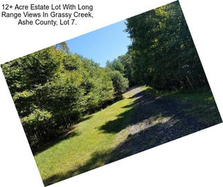 12+ Acre Estate Lot With Long Range Views In Grassy Creek, Ashe County, Lot 7.