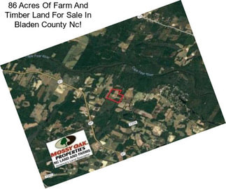 86 Acres Of Farm And Timber Land For Sale In Bladen County Nc!