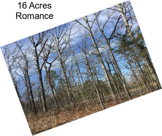 16 Acres Romance