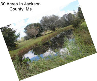 30 Acres In Jackson County, Ms