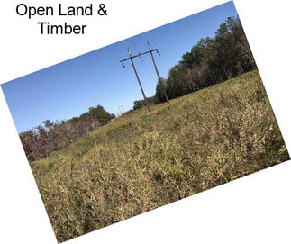 Open Land & Timber