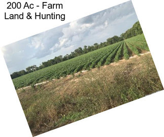 200 Ac - Farm Land & Hunting