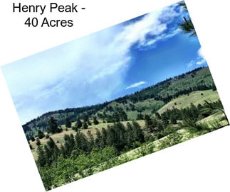 Henry Peak - 40 Acres
