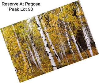 Reserve At Pagosa Peak Lot 90