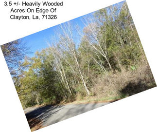 3.5 +/- Heavily Wooded Acres On Edge Of Clayton, La, 71326