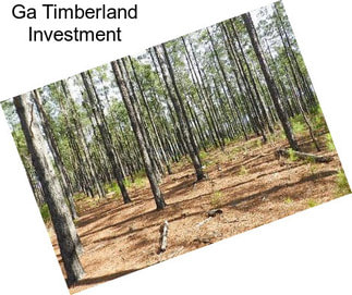 Ga Timberland Investment