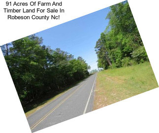 91 Acres Of Farm And Timber Land For Sale In Robeson County Nc!