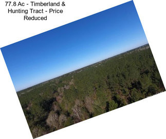 77.8 Ac - Timberland & Hunting Tract - Price Reduced