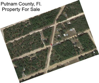 Putnam County, Fl. Property For Sale