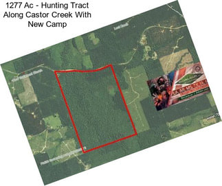 1277 Ac - Hunting Tract Along Castor Creek With New Camp