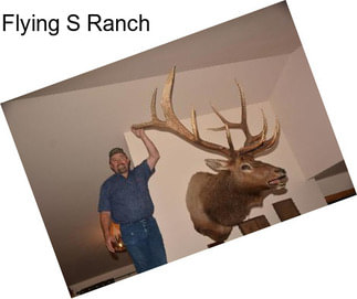 Flying S Ranch