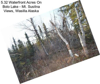 5.32 Waterfront Acres On Bolo Lake - Mt. Susitna Views, Wasilla Alaska