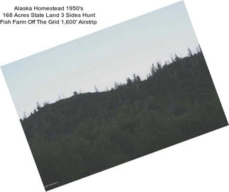 Alaska Homestead 1950\'s 168 Acres State Land 3 Sides Hunt Fish Farm Off The Grid 1,600\' Airstrip