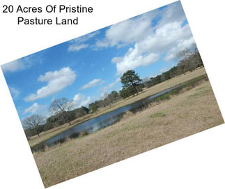 20 Acres Of Pristine Pasture Land