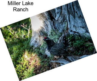 Miller Lake Ranch