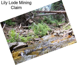 Lily Lode Mining Claim