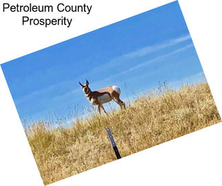 Petroleum County Prosperity