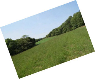 ***excellent Hunting Acreage In Doniphan County, Ks!!!*** Primo Hunting!!
Price Reduced On 2-13-18!