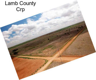 Lamb County Crp