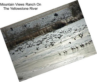 Mountain Views Ranch On The Yellowstone River