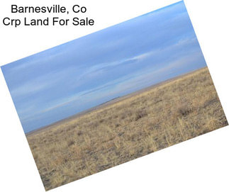 Barnesville, Co Crp Land For Sale