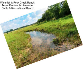 Whitefish & Rock Creek Ranch: Texas Panhandle Live-water Cattle & Recreational Ranch