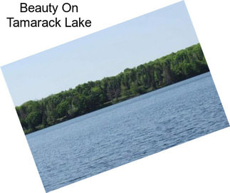 Beauty On Tamarack Lake