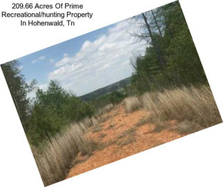 209.66 Acres Of Prime Recreational/hunting Property In Hohenwald, Tn