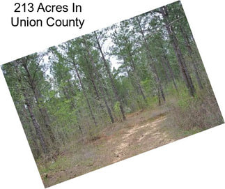 213 Acres In Union County