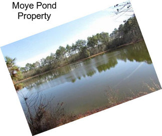 Moye Pond Property