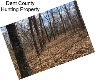 Dent County Hunting Property