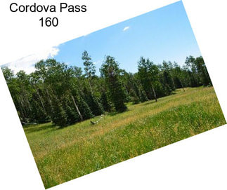 Cordova Pass 160