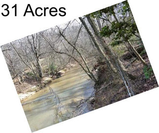 31 Acres