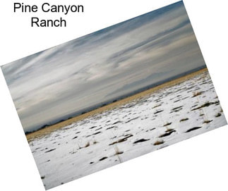 Pine Canyon Ranch