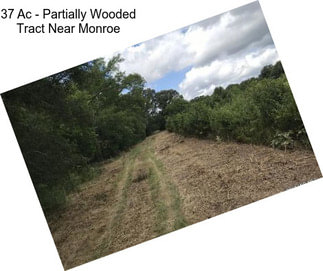 37 Ac - Partially Wooded Tract Near Monroe