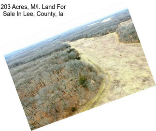 203 Acres, M/l. Land For Sale In Lee, County, Ia