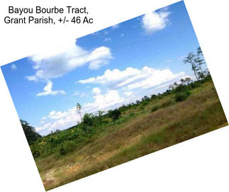 Bayou Bourbe Tract, Grant Parish, +/- 46 Ac