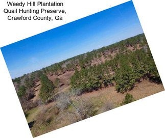 Weedy Hill Plantation Quail Hunting Preserve, Crawford County, Ga