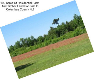 190 Acres Of Residential Farm And Timber Land For Sale In Columbus County Nc!