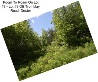 Room To Roam On Lot #3 - Lot #3 Off Tremblay Road, Dexter