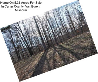 Home On 5.31 Acres For Sale In Carter County, Van Buren, Missouri