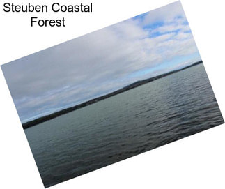 Steuben Coastal Forest