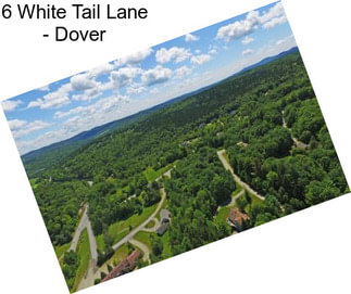 6 White Tail Lane - Dover