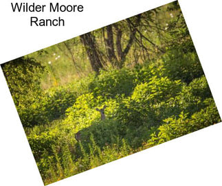 Wilder Moore Ranch