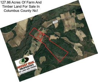 127.86 Acres Of Farm And Timber Land For Sale In Columbus County Nc!