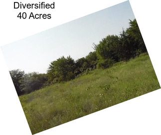 Diversified 40 Acres