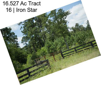 16.527 Ac Tract 16 | Iron Star